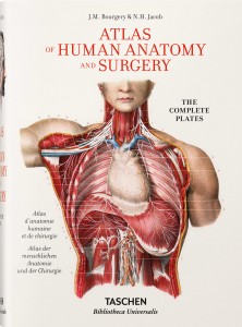 Bourgery. Atlas of Human Anatomy and Surgery (bu)