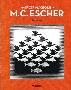 Le Miroir magique de M.C. Escher