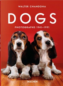 Walter Chandoha. Dogs. Photographs 1941–1991